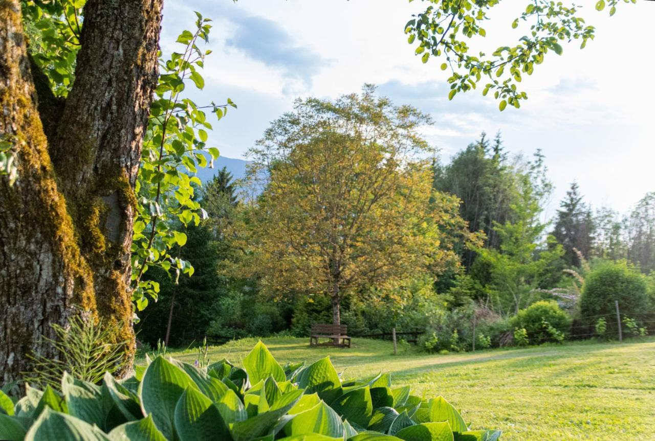 Gartenlodge Auszeit Nötsch Екстериор снимка